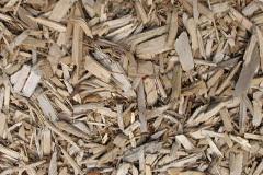 biomass boilers Hethersett